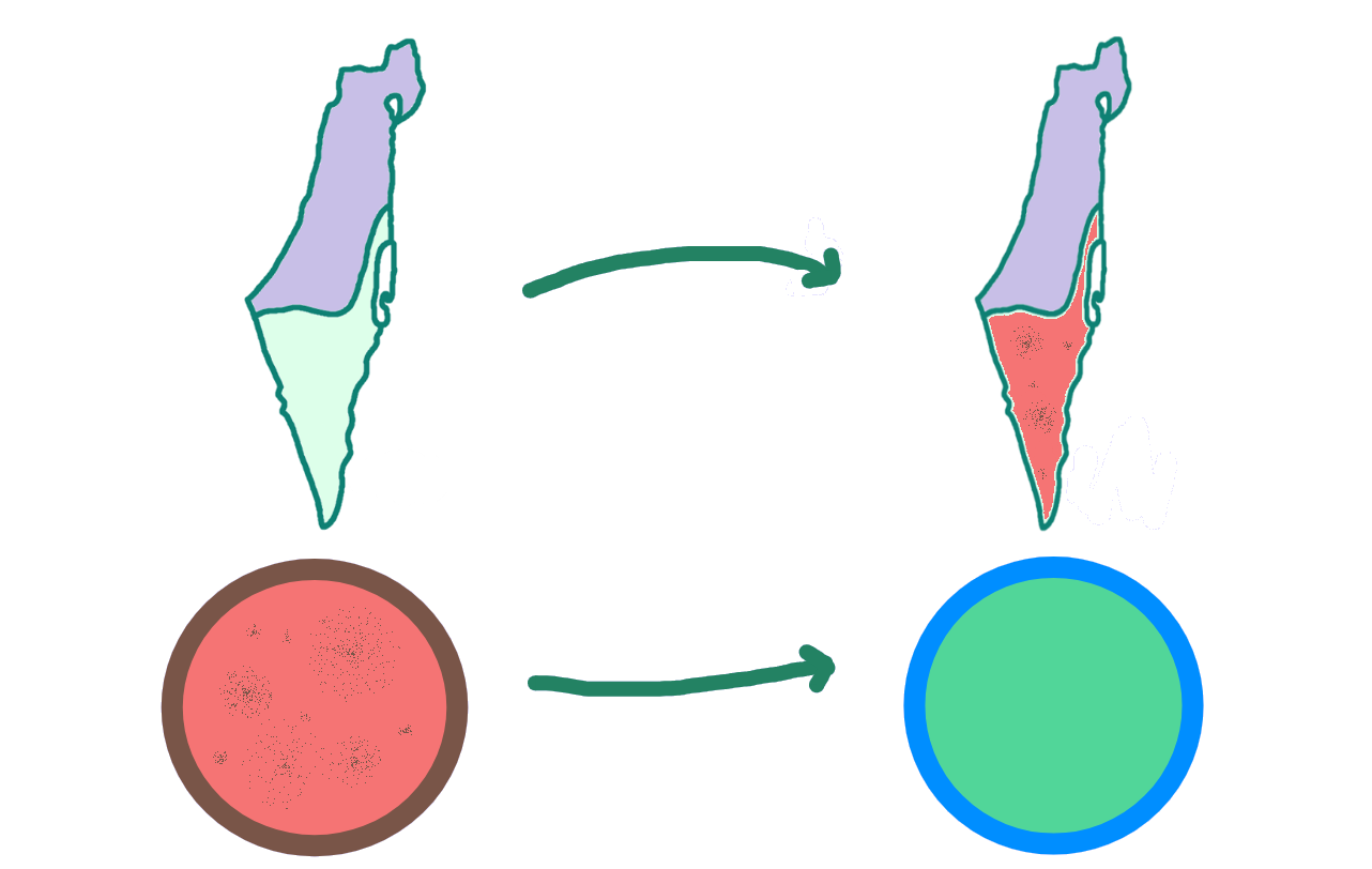 terraformation diagram